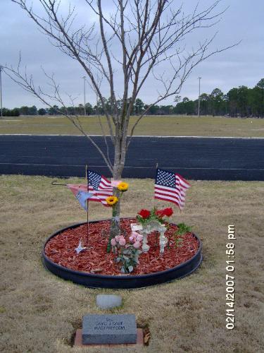 Tree from Warrior's Walk - This tree was one of many planted in memory of our fallen soldiers and heros. It is the tree bearing the name of a dear friend's husband who made the ultimate sacrifice on Feb 14, 2005. I went there this past Valentine's day to pay my respects.