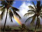 Hawaii - If I could choose a place to live, I&#039;d go to Hawaii