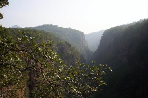 pachmarhi - this is the scene of pachmarhi hills in the early morning.
see how beautyfull it looks.