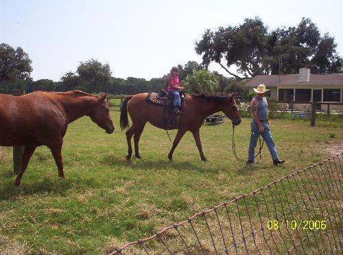 My horse - Here's a picture of my horse