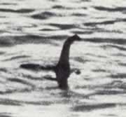 The Surgeon's Photo of the Loch Ness Monster  - The Surgeon's Photo of the Loch Ness Monster  The Surgeon's Photo of the Loch Ness Monster