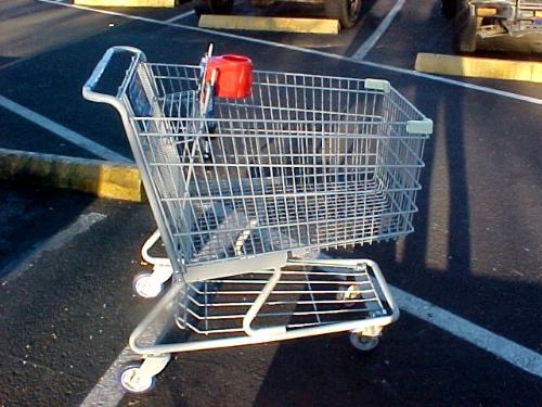 shopping cart - cart for shopping