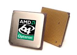 AMD Processor - I think u should go in for 'AMD 64 bit' dear.. They ve got speed and durability...