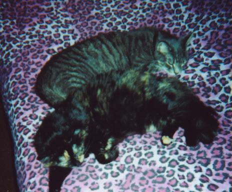 Dubby and Goldie - Dubby and his girlfriend, Goldie.