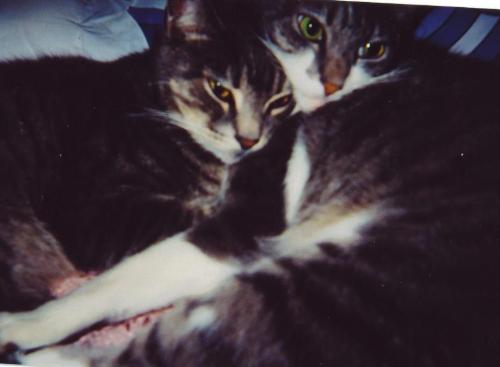 Brothers - Brotherly love.