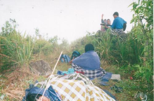 Sleep in the forest - Very Borred