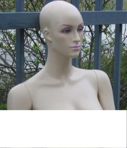 Britney Spears Bald - I saw this on Ebay - is it Britney Spears or is this where she got the idea for her new hairstyle