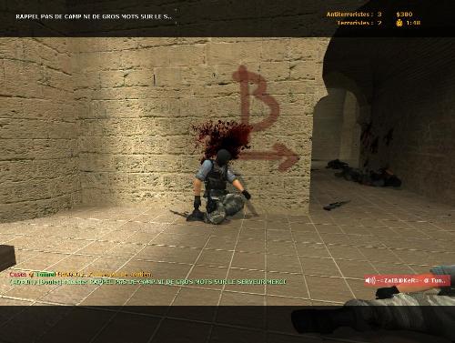 Counter strike - A headshot by Maverick