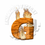 g - gundabathina