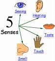 Five senses - five senses, hear, sight, touch, smell and taste