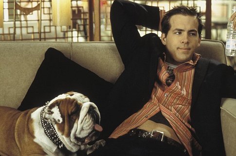 van wilder and his dog - Ryan Reynolds