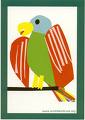 parrot - parrot..bird