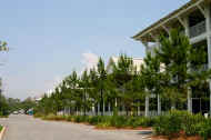 spring - this is a nice foto in a spring season road