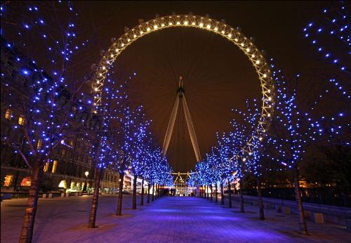 London Eye - The LOndon Eye at Night