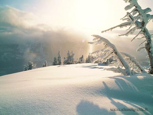 winter lanscape - wonderful snowy landscape! i adre snow and would like to have a little home in this place!