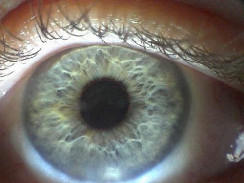 my left eye - My left eye....taken with my QX-5 digital camera set at 10x