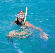 snorkeling - enjoying snorkeling