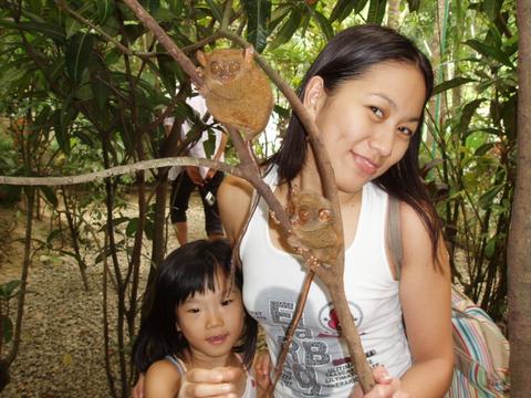Philippine tarsier - My girlfriend with the Philippine tarsiers Philippine tarsier - My girlfriend with the Philippine tarsiers