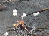 Roasted Marshmellows - Sticky treat for camping
