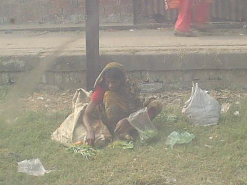 Cleaning Beans - I love to take pictures of people who don't know they are being photographed. This woman was cleaning beans for her evening meal outside the train station of Dhaka.