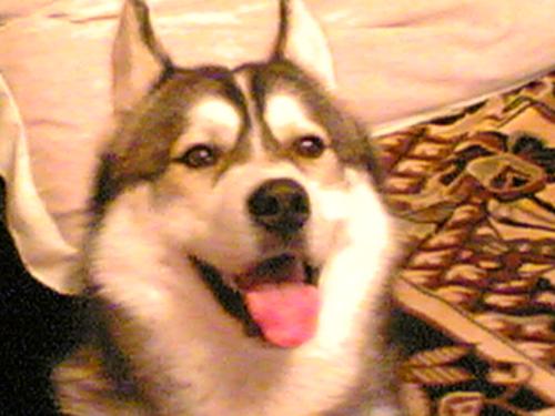 i'm beautifull - isn't it?