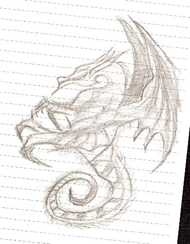dragon - i drew this seeing pics