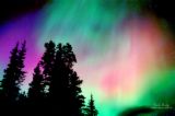 northern lights - the phenomenon of the northern lights or the aurora borealis
