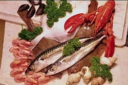Fish !!! - I don't know the name of the dish..But I liked the way it is garnished .Can any one tell me what this is ??