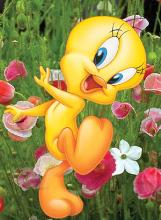 My sweety - Dancing twetty.....