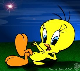 i am always cool - twetty