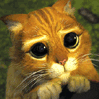 Puss n Boots from Shrek - Don't you love me?