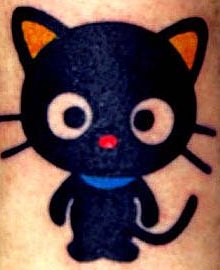 cat - cat o gato doido
