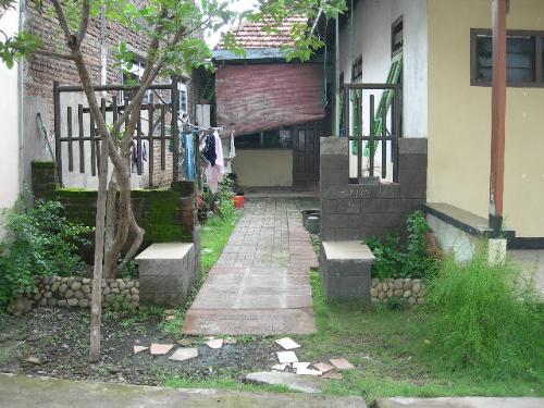 my house - my garden at my house