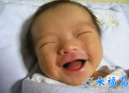 funny 13 - picture no 13