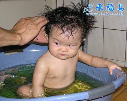 funny 16 - picture 16