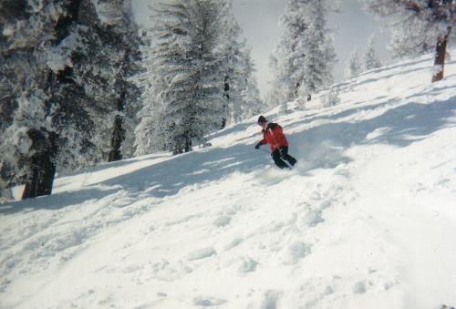 Skiing Motts Canyon - Rick skiing in the trees in Motts canyon, it's dangerous and he doesn't wear a helmet!!!
