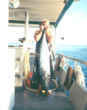 spanish mackeral - 28kg spanish