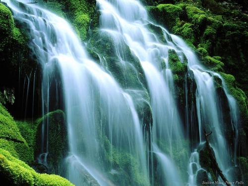 Waterfalls - Very beautiful Waterfall in green fields.