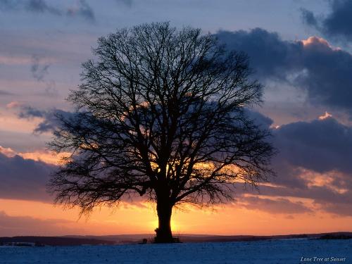 Sunset - A beautiful panorama of Sunset between sky and land.