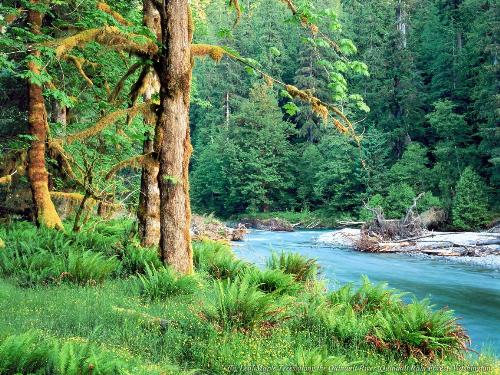 River - A blue , beautiful River, between mountain and trees.