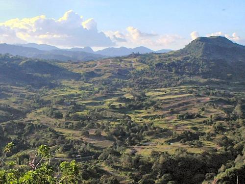 busay - busay hills, the flower capital of cebu its here where flowers are harvested and its cold especially during the night. busay is located just right at the mountain barangays of cebu city 30 minutes from the city proper.