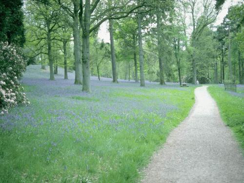 road - nice place to walk