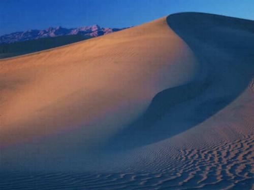 desert - nice to see