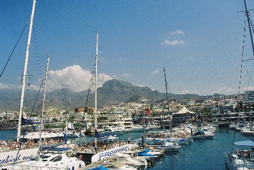 Colon Harbour - One of my favourite Harbours in Tenerife,, the water here is just so clear, one can see the wildlife swimming about by the boats