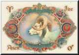 Aries  - Aries Zodiac sign