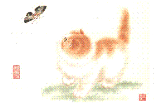 beautiful cat! - cat,do you like it?wow~~~~~~~~