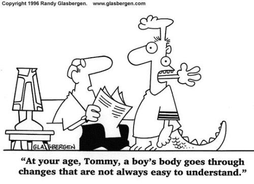 family - funny cartoon