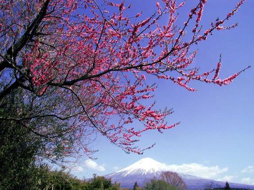 Nature at its best - What a wonderful scene! Have you ever seen this before?