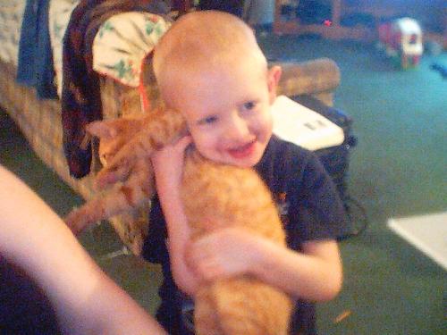 My youngest son 'loves' on our cat - My youngest son, 5 years old. He's holding our cat, named Milo. In spite of how he 'plays' with the cat during the day, you'll find him often curled up with my son at night.