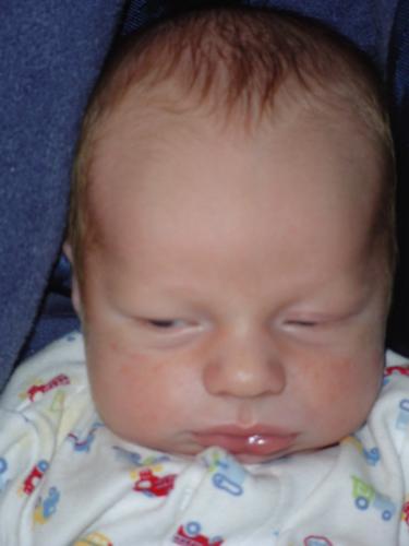 Wyatt - Such a cutie pie isn't he?